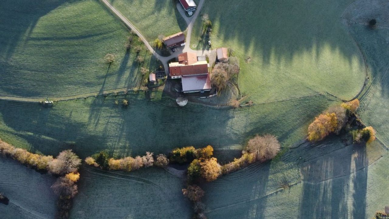 ferienhoffehrstiefenhofen483050 ferienhoffehrstiefenhofen483050